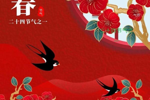 2024立春图片