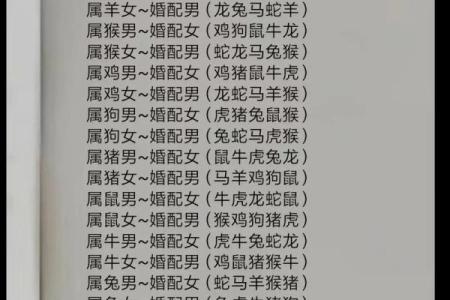 2024年五月结婚吉日,女属牛,男属猪(2024年五月结婚吉日,女属牛,男属猪好吗)