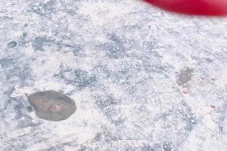 天崩地裂是什么生肖(天崩地裂是什么生肖打一肖动物)