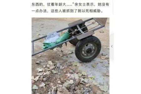 天下大乱打一生肖(天下大乱打一生肖动物)