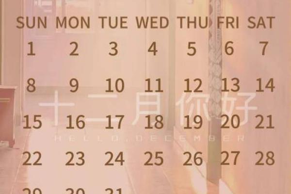 日历星座运势_2024年日历星座运势全解析精准预测你的每月运程