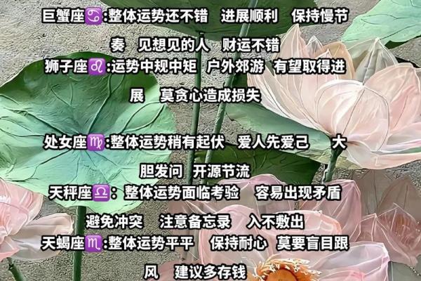 2025年星座财运_12星座2025年的全年运势