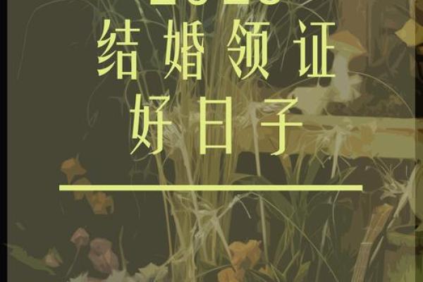 2025领证最佳日子是哪天啊