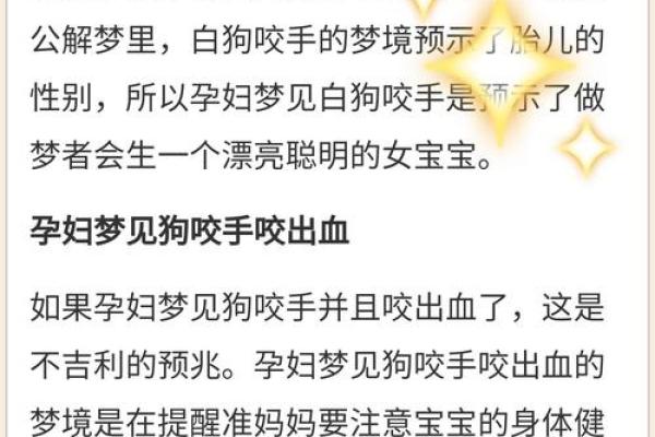 梦见狗咬我是什么意思 梦见狗咬我是什么意思