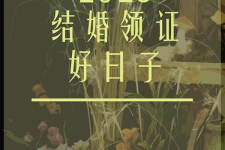 2025领证最佳日子是哪天啊