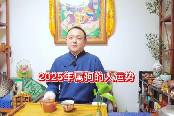 2025年属狗人的运气 2025年属狗人运势解析财运事业感情全预测