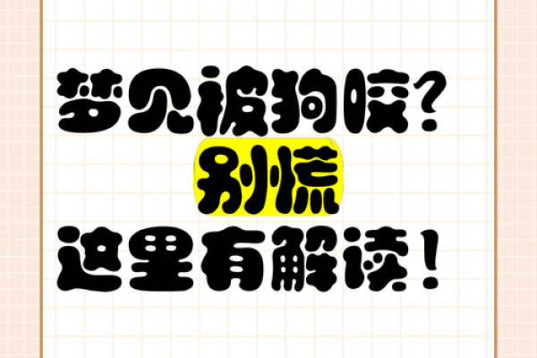 梦见被狗咬了 梦见被狗咬了