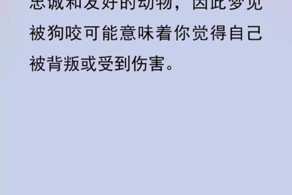 梦见狗是什么预兆 男性 梦见狗是什么预兆 男性