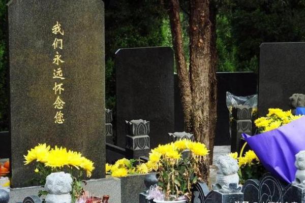 2025年4月5号扫墓日子好不好(2025年4月4日)