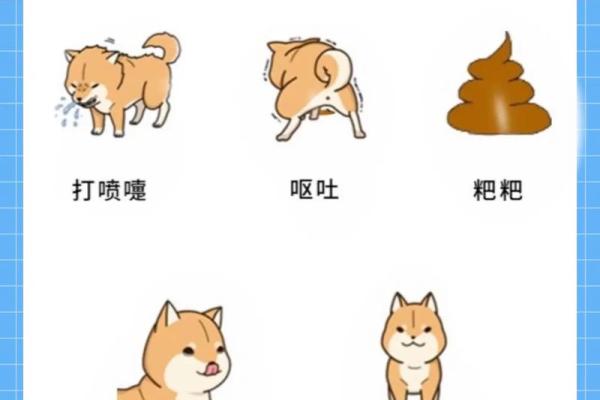 梦见小狗是什么征兆 梦见小狗是什么征兆