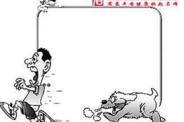 女人梦见狗追是什么预兆 女人梦见狗追是什么预兆