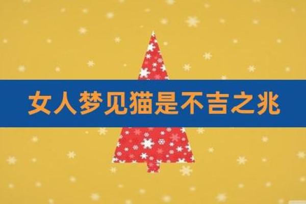 女人梦见猫说明老公有外遇 女人梦见猫说明老公有外遇