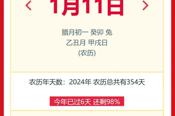 2025年11月11日农历是多少