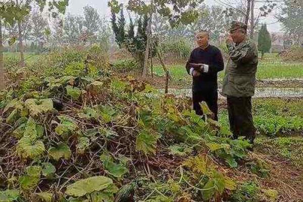 4月4号可以动土吗