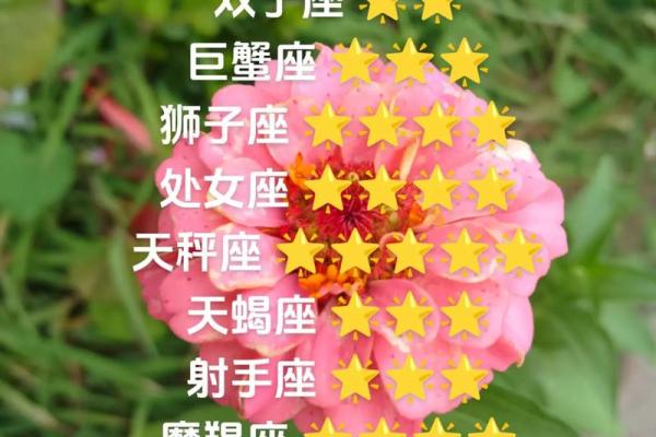 白羊座本月星座运势_白羊座本月运势解析事业爱情双丰收