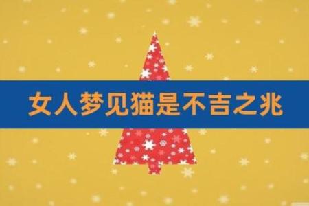 女人梦见猫说明老公有外遇