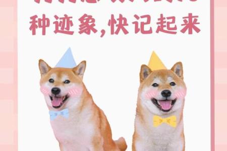 女人梦见狗咬自己是什么意思