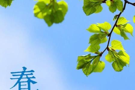 春分的分是什么意思