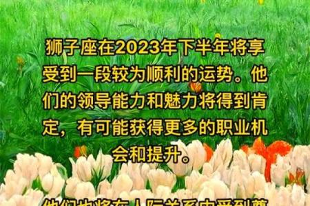2023星座运势 2023星座运势完整版