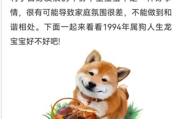 九四年狗五行属什么命 94年属狗31岁有一劫 九四年狗五行属什么命 94年属狗31岁有一劫