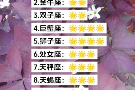 星座分析运势_星座分析运势真的很准吗