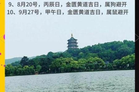 属龙的今年结婚吉日