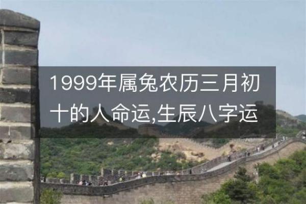 2020年4月25日什么命(2020年4月25日出生)