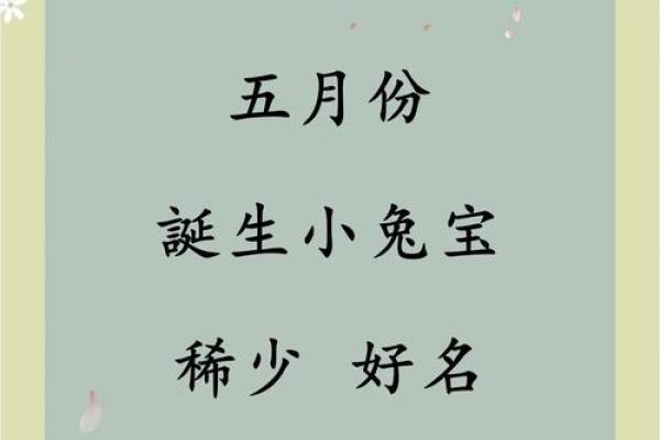 属兔的5月份哪个日期搬家好(属兔的5月份哪个日期搬家好呢)