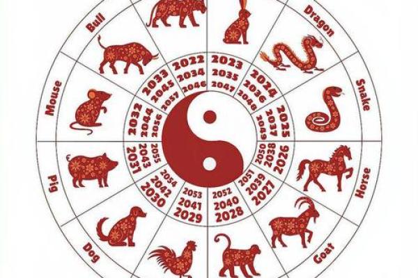 点石成金打一最佳生肖(点石成金打一最佳生肖和数字)