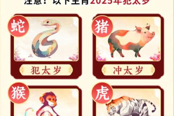 飞蛾扑火是什么生肖(飞蛾扑火是什么生肖正确答案)