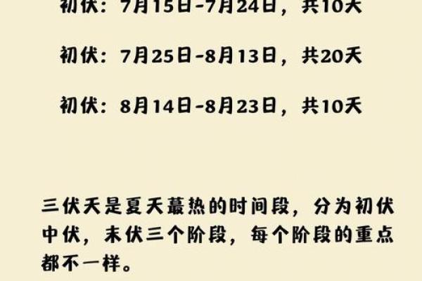 2019年三伏天时间表