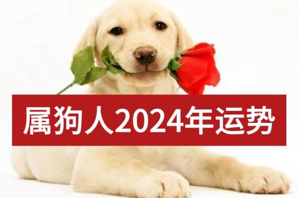 94狗2025年运势_94属狗2023到2024运势 94狗2025年运势_94属狗2023到2024运势