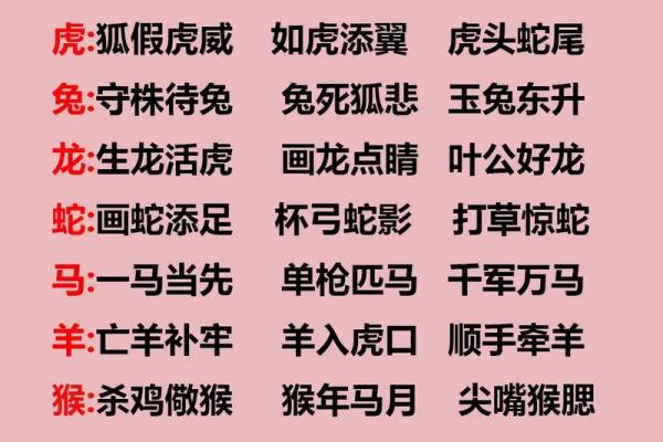 见贤思齐什么生肖(见贤思齐是成语吗)