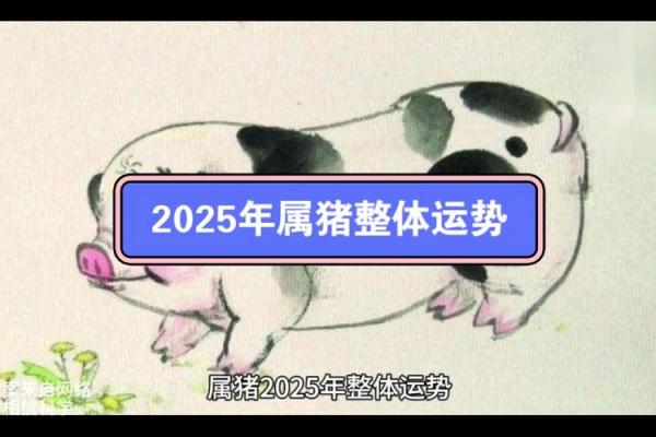 属猪的人2025年运势及运程详解吉祥方位_2025年属猪人运势详解吉祥方位与运程全解析