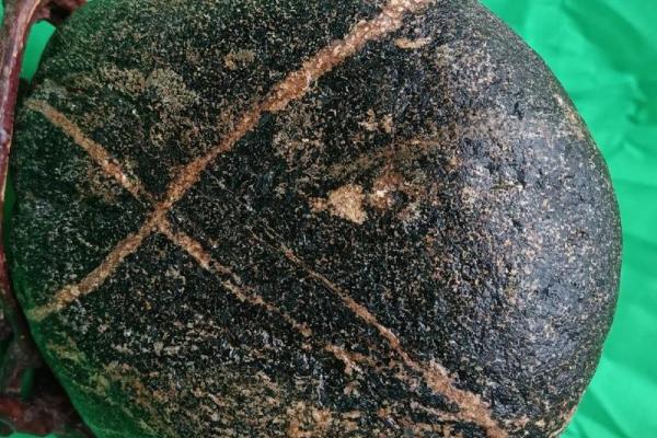 义上云天是什么生肖(义云)