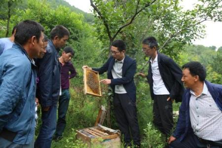 蜂出泉流是什么生肖(出蜂口流在什么位置好)