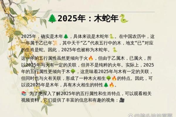 农历2025年生肖年是什么年