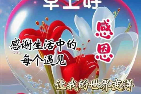 2023最美好的祝愿 2023最美好的祝愿