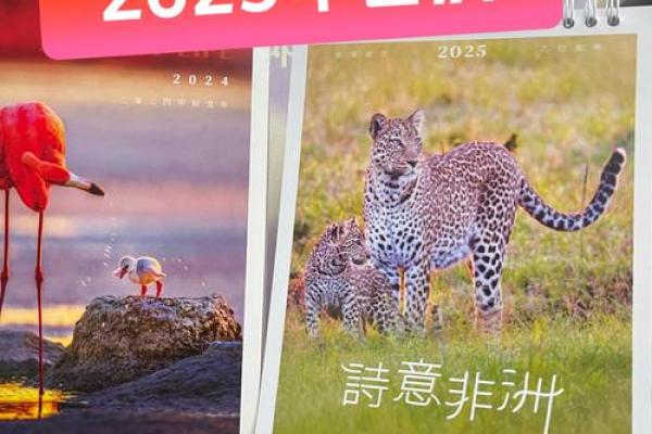 2025年的好日子4月办百天