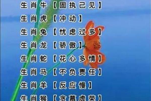 风狂雨猛指什么生肖(风狂雨猛属什么生肖)