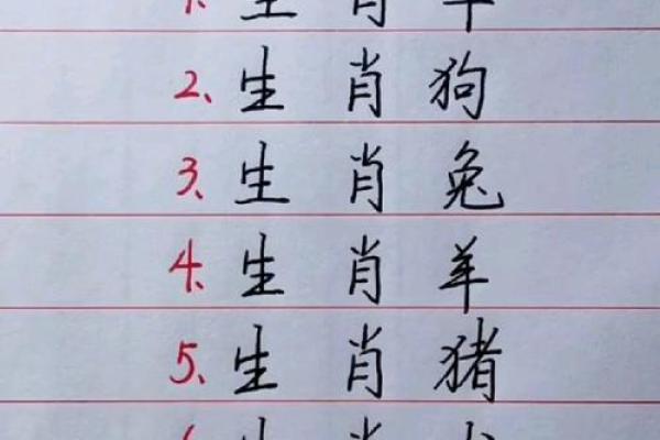 光明磊落指什么生肖(光明磊落指什么生肖与数字)