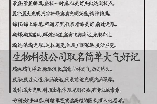 好听科技公司名称大全 简单大气的科技公司名称 好听科技公司名称大全 简单大气的科技公司名称