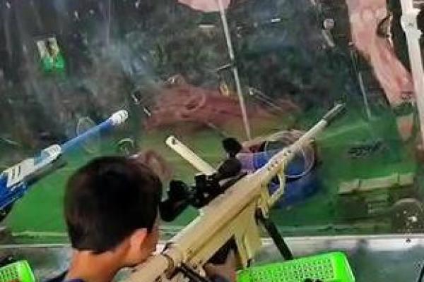 枪林弹雨是什么生肖(枪林弹雨打一数字)