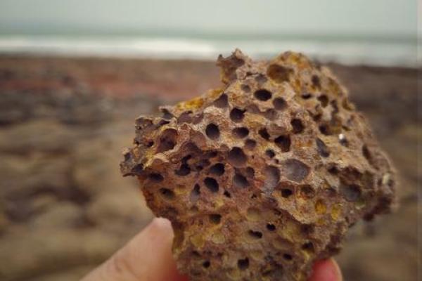 海枯石烂是什么生肖(海枯石烂是什么生肖百分比)