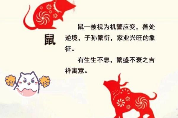 花开回春又一年是什么生肖(花开回春又一年是什么生肖最准确)