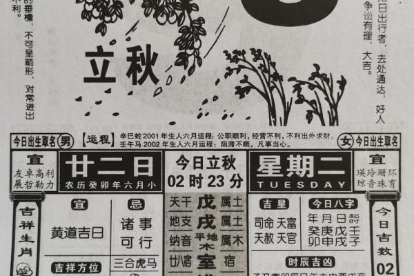 2023年通书(2023年通书电子版免费)