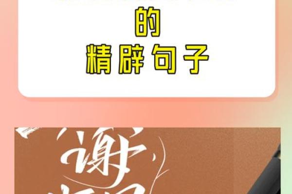 教师节感恩老师的话语