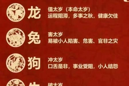 七老八十指什么生肖(七老八十是词语吗)