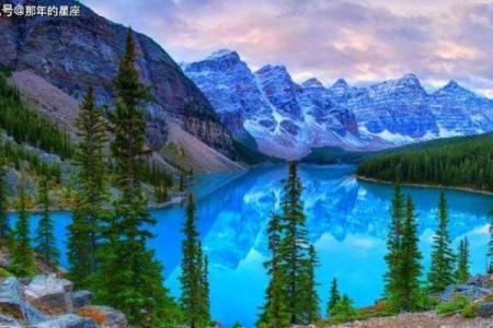 山清水秀打一生肖(山清水秀打一生肖是什么动物)