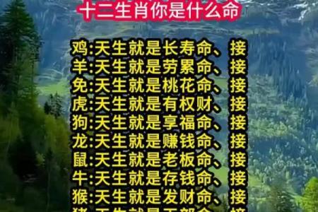 三衰六旺指的是什么生肖(三衰六旺指的是什么生肖动物)